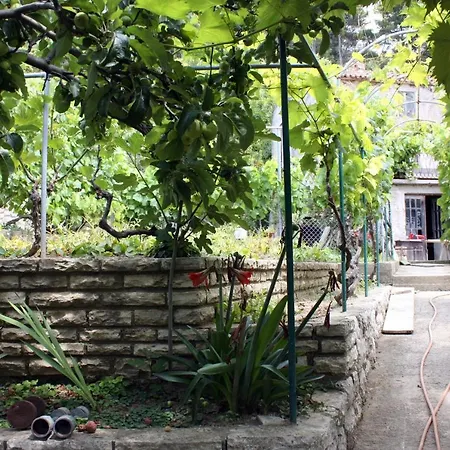 With Parking Space Kampor, Rab - 5018